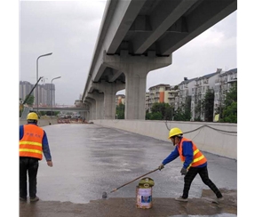 T9303无溶剂环氧防腐底漆